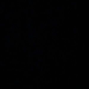 Bundle for Persephi 🫶